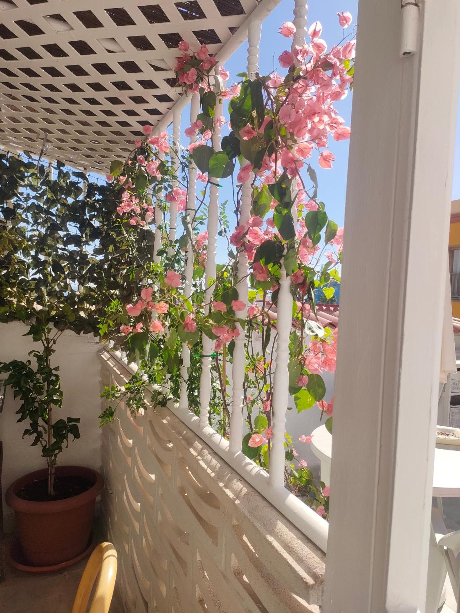 Aparthotel Casa Alba 2 Puerto del Rosario  Zewnętrze zdjęcie